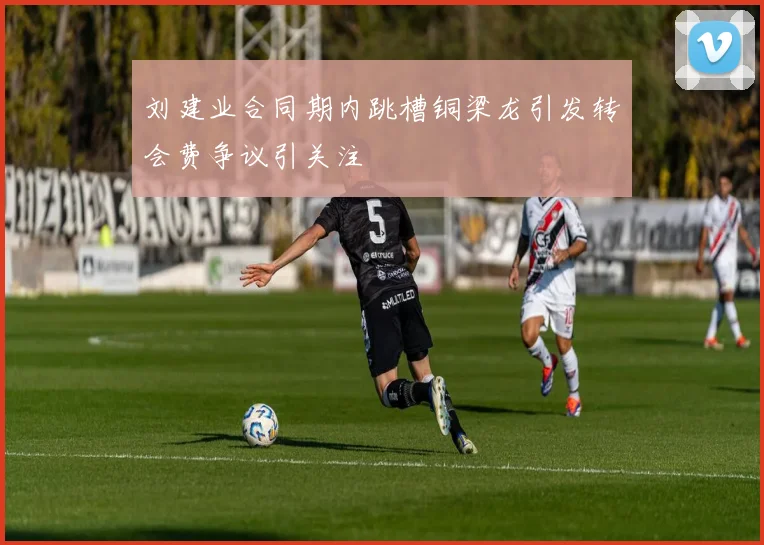 刘建业合同期内跳槽铜梁龙引发转会费争议引关注