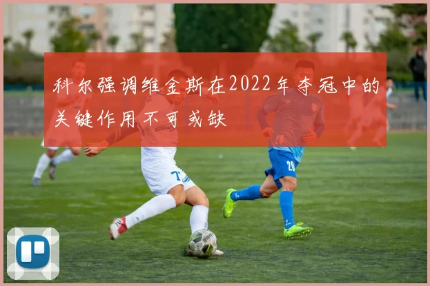 科尔强调维金斯在2022年夺冠中的关键作用不可或缺