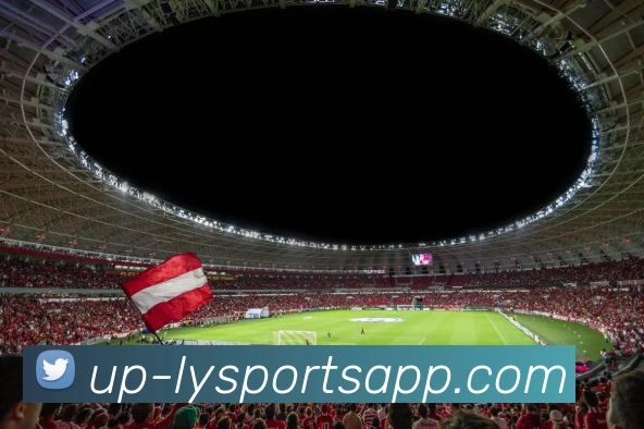 乐鱼体育APP 封面图